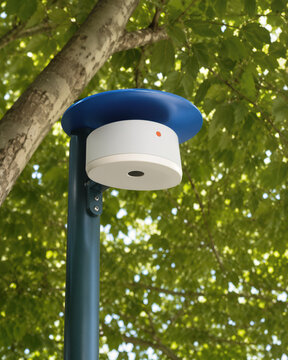 Capteur infrarouge de temp&eacute;rature sous canop&eacute;e urbaine