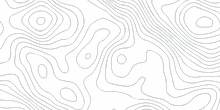 Abstract grid landscape topography white background. white and black relief line wireframe isoline location diagram world map texture design.	
