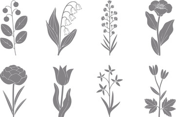 Fototapeta premium Una colección de ocho siluetas de flores y plantas botánicas dibujadas a mano aisladas sobre un fondo blanco liso