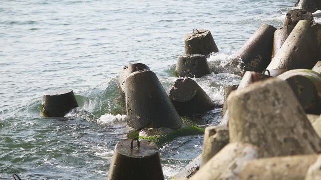 Concrete sea breakwater with weathered tetrapods protecting shoreline under soft daylight