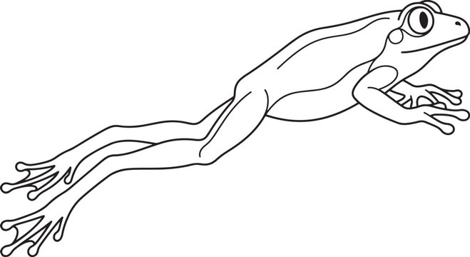 Leaping frog line drawing on a white background