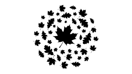 Autumn Leaf Mandala: A striking black and white graphic displays a mandala-like arrangement of various autumn leaves, creating a natural and artistic pattern. © Takiya