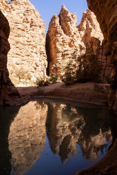 Oasis Pool Reflecting Desert Rock Formations