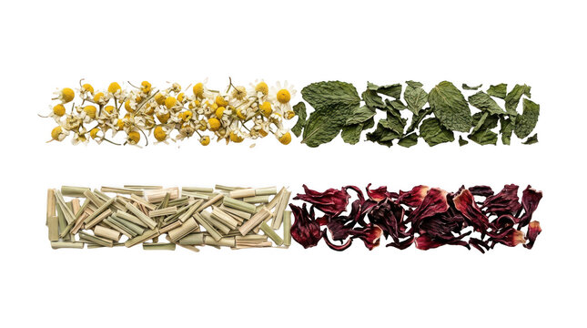 Four different types of dried herbal tea leaves and flowers arranged in horizontal rows