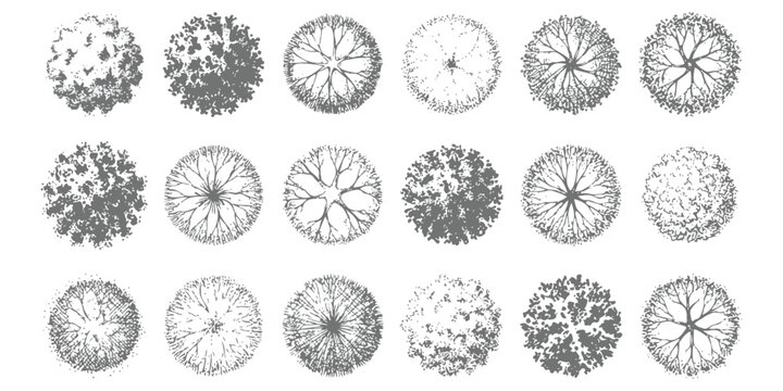 Set of various tree top view icons for architectural landscape design and site plans