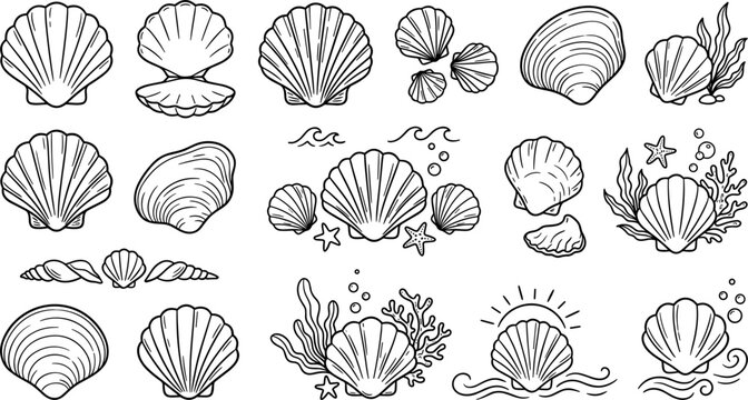 Large Vector Collection of Cute Seashell Line Art Icons Scallop Shells Clams and Under the Sea Coral Reef Doodles for Coastal Summer Beach Menu Layouts