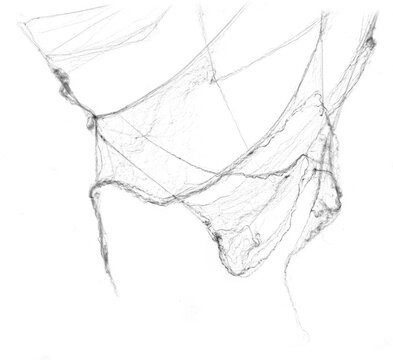 Tangled spider's web on isolated white background for Halloween design. Black cobweb for applying in multiply blend mode on any concept