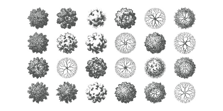 Set of top view tree icons for architectural landscape design and site planning