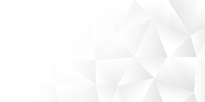 Minimal white abstract background featuring polygonal geometric facets with a clean modern appearance