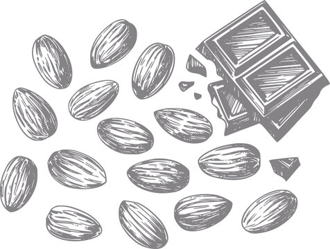 Una ilustraci&oacute;n estilizada que presenta una colecci&oacute;n de almendras crudas esparcidas junto a trozos de chocolate negro roto