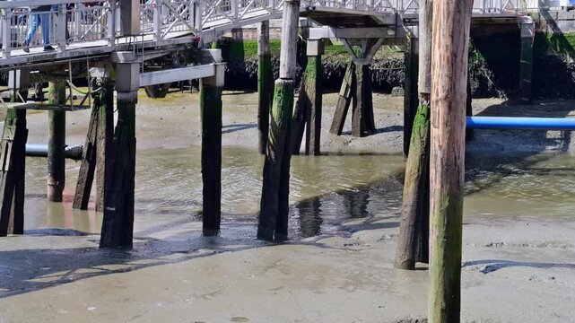 Incoming tide flowing between wooden harbor pilings and mudflats in the harbor of Husum during the North Sea tidal cycle.