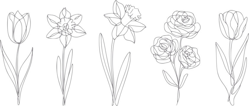 Conjunto de l&iacute;nea continua minimalista que presenta varias flores de primavera que incluyen tulipanes, narcisos y rosas