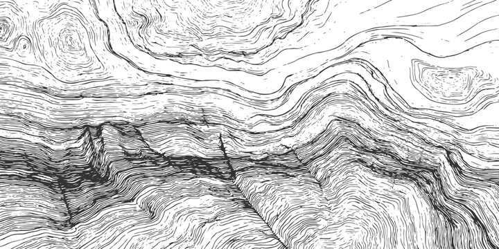 Abstract black and white topographic contour line map background with wood grain texture vector illustration.