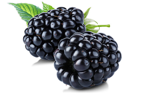 Pair of ripe juicy blackberries with leaves isolated on transparent background.