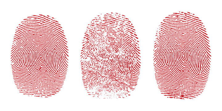 Red detailed human fingerprint biometric identification marks and security grunge textures collection vector illustration.