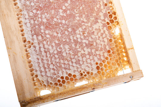 Natural Honeycomb on Wooden Frame with Fresh Honey Close Up