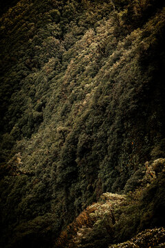 Moody steep mountainside covered in dense mixed forest and lush green canopy on a rugged hillside