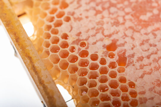 Honeycomb Macro with Fresh Honey on White Background