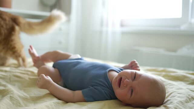 Upset newborn baby in a blue bodysuit crying loudly while lying on a bed. The infant is screaming and flailing, with a ginger cat visible in the background of the bright bedroom