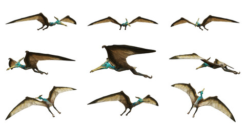 3D Render of a Pterodactyl in Flight. © Ilie