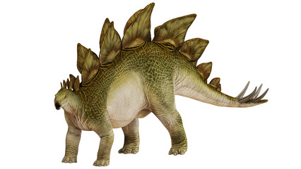 Realistic illustration of a green Stegosaurus. © Ilie