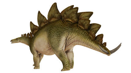 Illustration of a lifelike Stegosaurus dinosaur. © Ilie