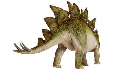 Realistic 3D rendering of a Stegosaurus dinosaur. © Ilie