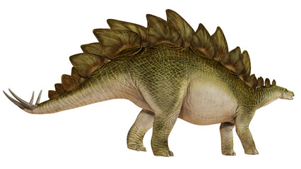 Fototapeta premium Realistic illustration of a Stegosaurus dinosaur.