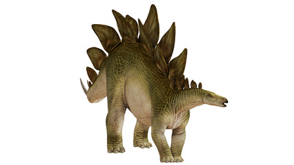 Digital rendering of a Stegosaurus dinosaur © Ilie