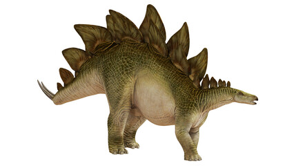 Realistic stegosaurus on a white background. © Ilie