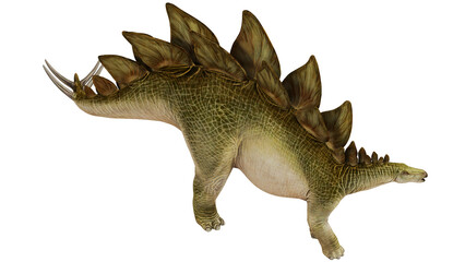 Realistic Stegosaurus dinosaur illustration © Ilie