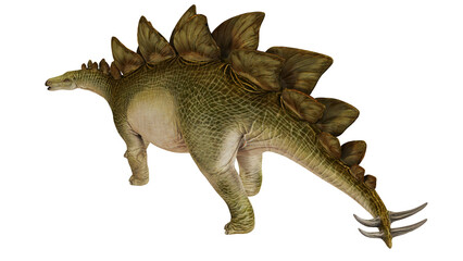 Realistic depiction of a Stegosaurus dinosaur. © Ilie