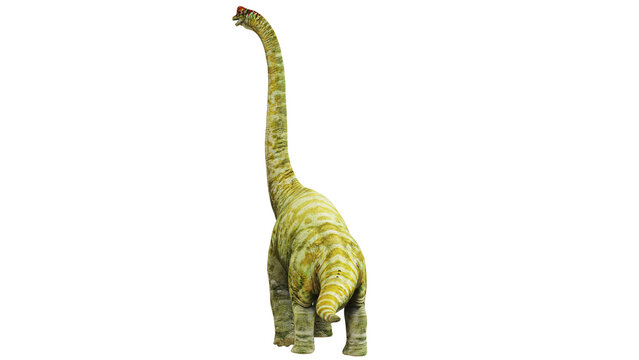 Realistic brachiosaurus dinosaur illustration