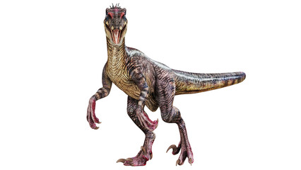Fototapeta premium Ferocious dinosaur on a white background.