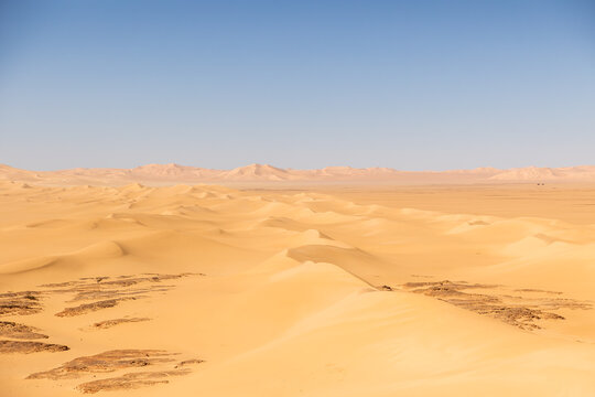 Vast Sand Dune Landscape in the Sahara