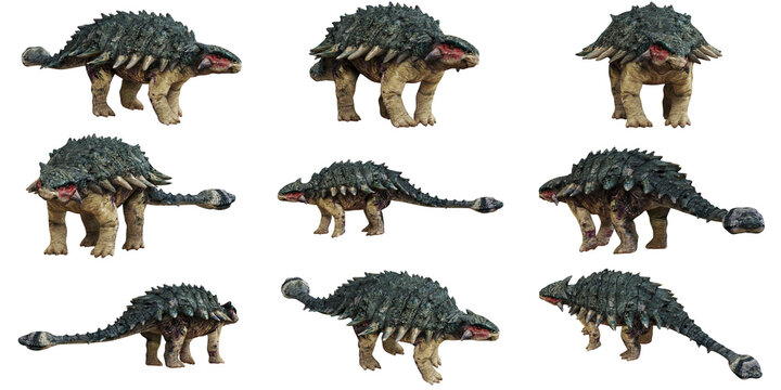 Nine realistic ankylosaurus dinosaur models.