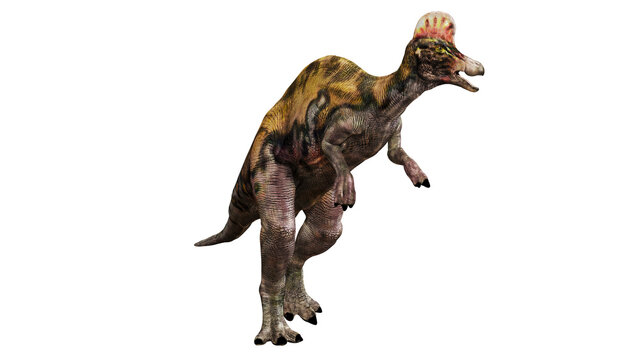 Realistic 3D model of a dinosaur on white background.