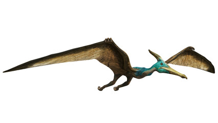 Realistic pterodactyl model soaring mid-flight © Ilie