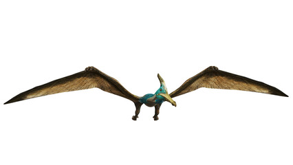 Flying pterosaur with wide wingspan in flight © Ilie