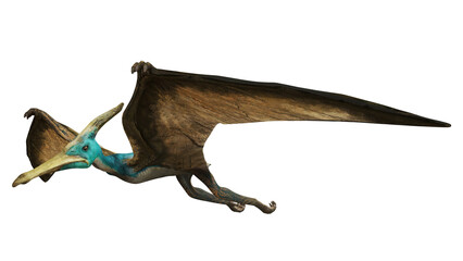 Detailed illustration of a flying pterosaur. © Ilie