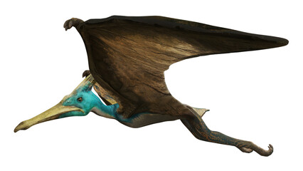 Flying Pterosaur with outstretched wings © Ilie