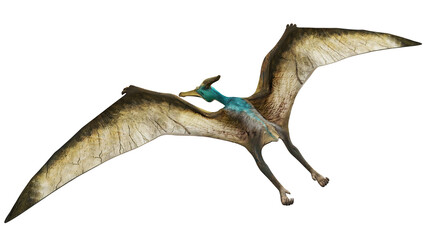 Majestic pterosaur in flight © Ilie