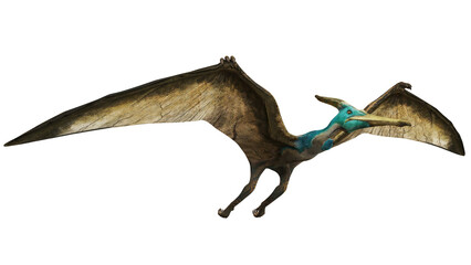 Majestic pterosaur in mid-flight, wings outstretched © Ilie