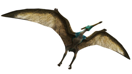 Majestic pterosaur soaring in flight © Ilie