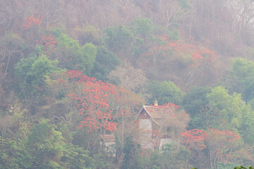 Breathtaking and impressive landscape in Luang Prabang, Laos. High-quality photo © Saigonese