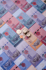 Malaysian ringgit banknotes as a tool for trade and financial transactions. The Malaysian ringgit © chernikovatv