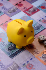 A piggy bank as a concept for storing, accumulating, and saving financial resources. A piggy bank © chernikovatv
