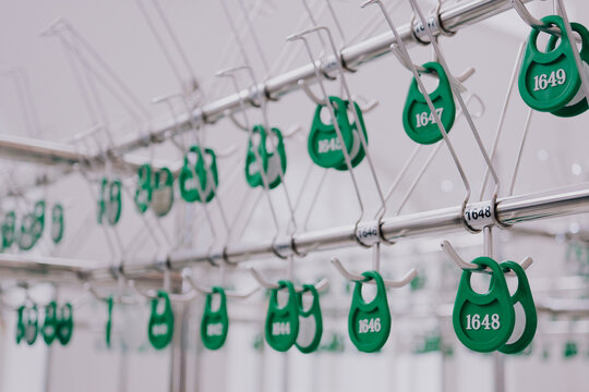 Numbered green cloakroom tags hang on metal coat hooks in a modern public wardrobe storage area