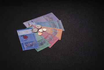 Malaysian ringgit banknotes as a tool for trade and financial transactions. The Malaysian ringgit © chernikovatv