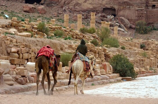 Beduino con camellos en Petra, Jordania, Oriente Medio